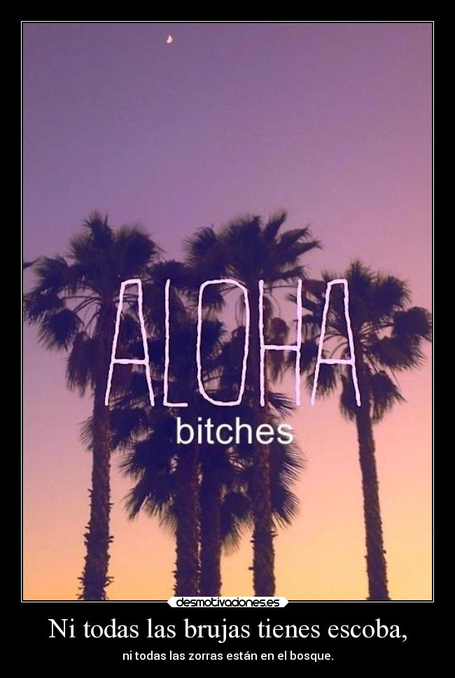 Ni todas las brujas tienes escoba, - ni todas las zorras están en el bosque.