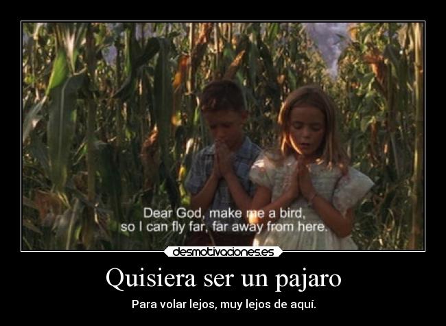 Quisiera ser un pajaro - Para volar lejos, muy lejos de aquí.