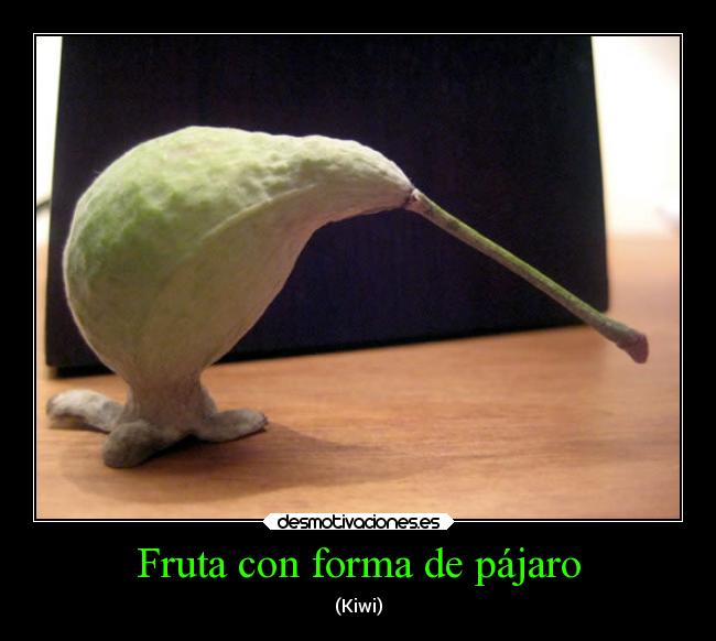 Fruta con forma de pájaro - (Kiwi)