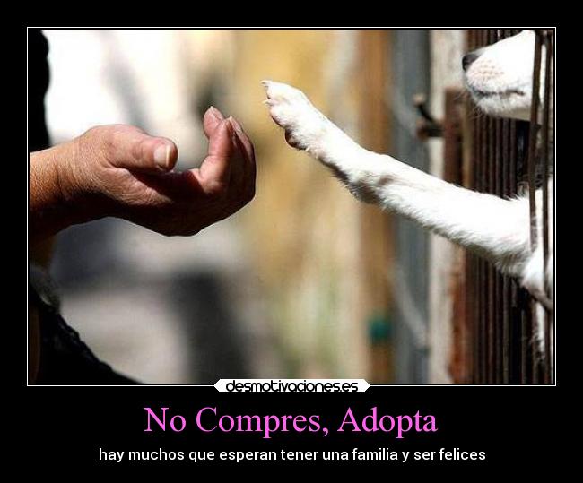 No Compres, Adopta - 