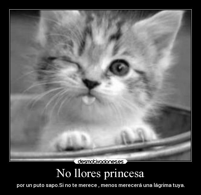 No llores princesa - por un puto sapo.Si no te merece , menos merecerá una lágrima tuya.