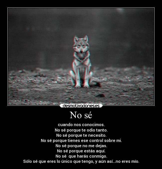 No sé - cuando nos conocimos.
No sé porque te odio tanto.
No sé porque te necesito.
No sé porque tienes ese control sobre mi.
No sé porque no me dejas.
No sé porque estás aquí.
No sé que harás conmigo.
Sólo sé que eres lo único que tengo, y aún así...no eres mío.