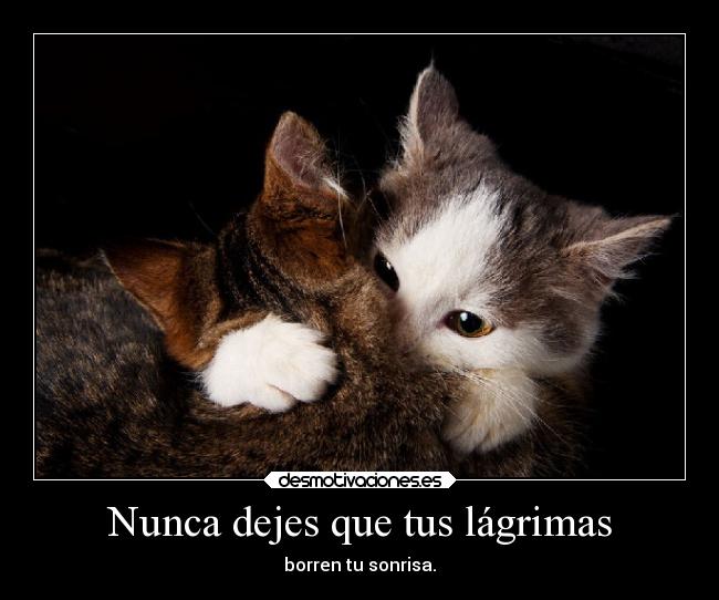 Nunca dejes que tus lágrimas - borren tu sonrisa.
