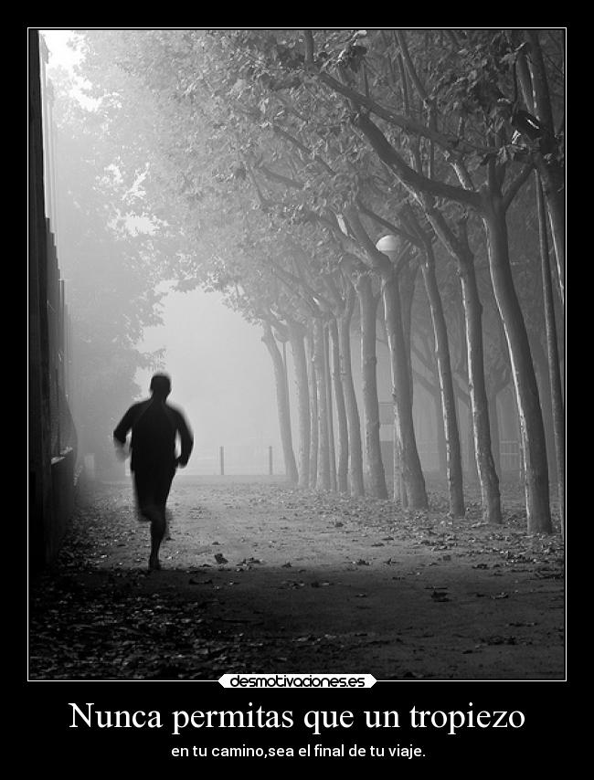 Nunca permitas que un tropiezo -