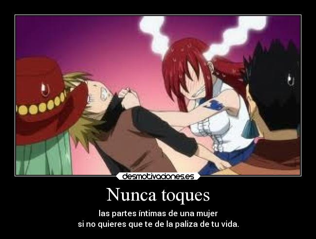 carteles anime fairy tail erza max dolor paliza desmotivaciones