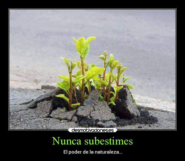 Nunca subestimes - El poder de la naturaleza...