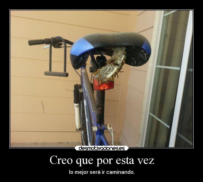 Creo que por esta vez - 