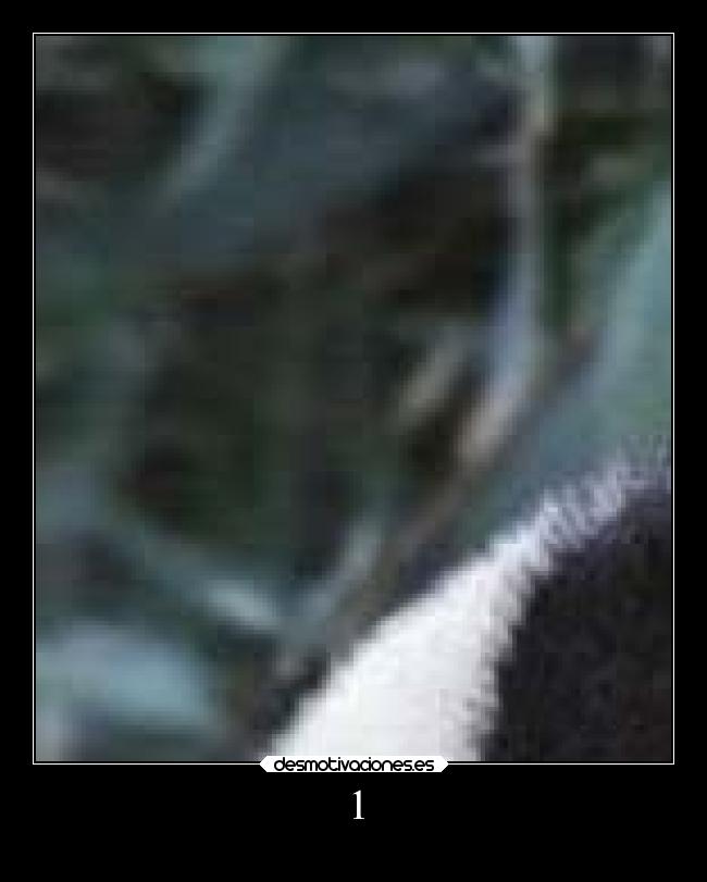 carteles kurara7 desmotivaciones