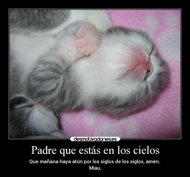 Padre que estás en los cielos - Que mañana haya atún por los siglos de los siglos, amén.
Miau.