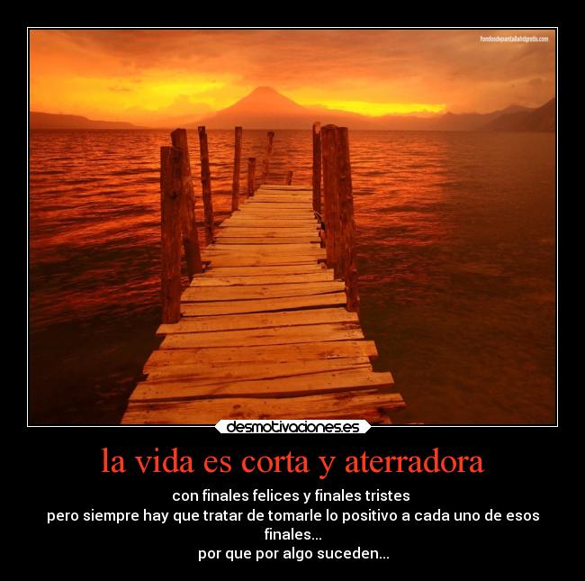 carteles vida mundo desmotivaciones