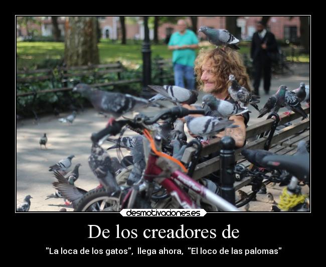 De los creadores de - La loca de los gatos, llega ahora, El loco de las palomas