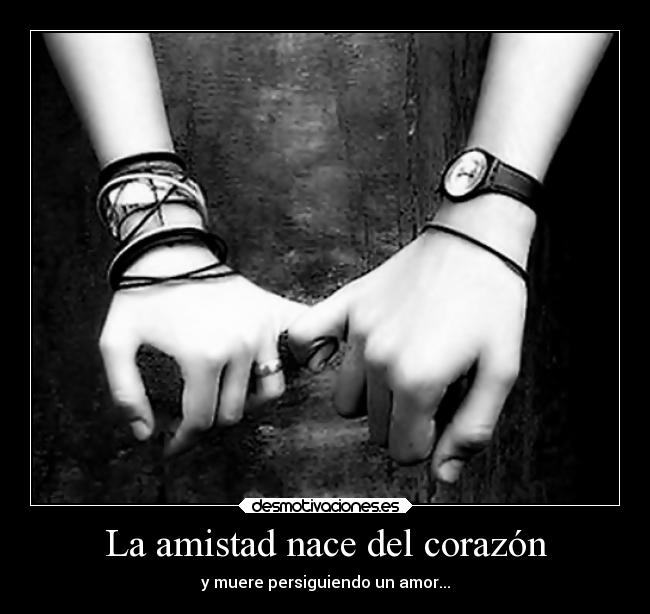 La amistad nace del corazón - 
