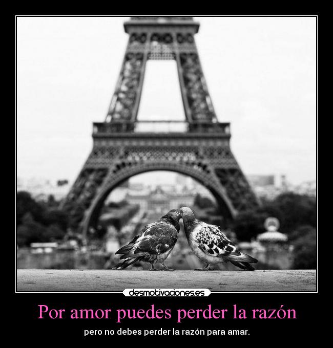 Por amor puedes perder la razón - pero no debes perder la razón para amar.