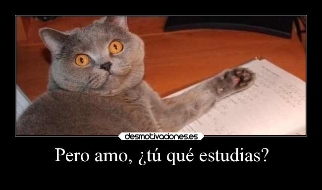 Pero amo, ¿tú qué estudias? - 