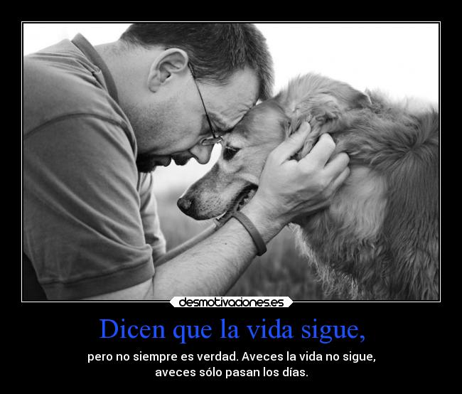 carteles vida ayuda desmotivaciones