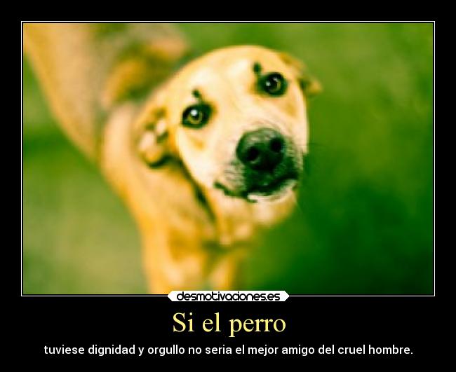 Si el perro - tuviese dignidad y orgullo no seria el mejor amigo del cruel hombre.