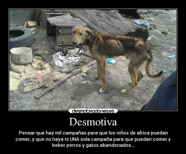 Desmotiva - 