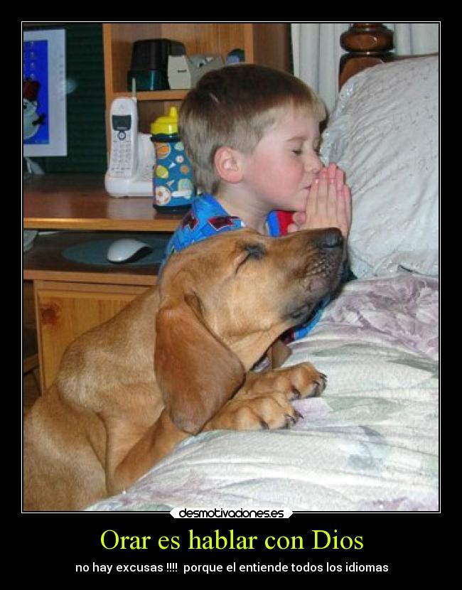 carteles dios vida desmotivaciones