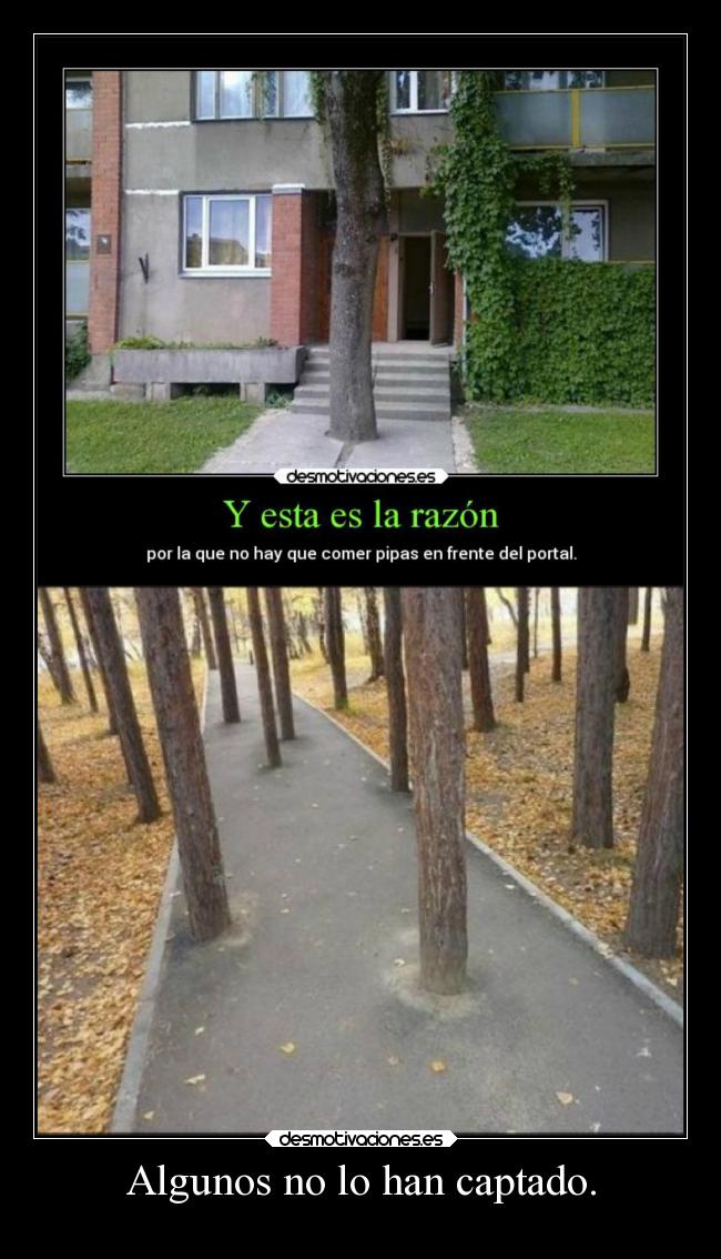 Algunos no lo han captado. - 