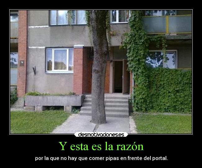 Y esta es la razón - 