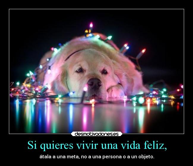 Si quieres vivir una vida feliz, - átala a una meta, no a una persona o a un objeto.