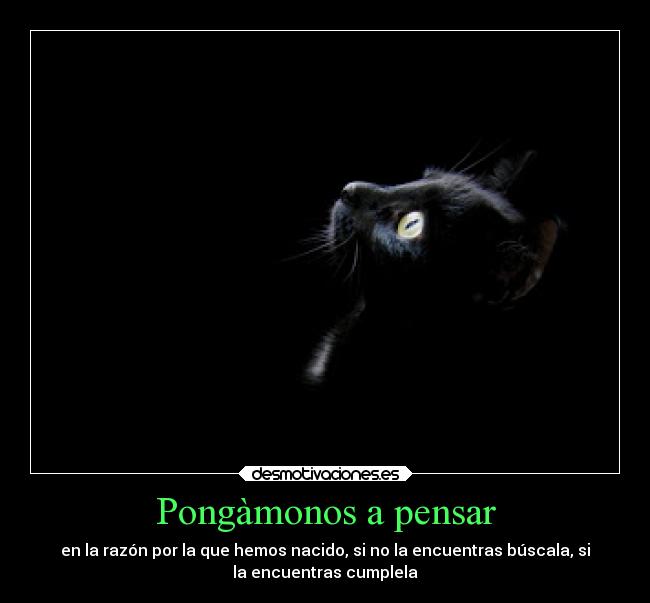 Pongàmonos a pensar - en la razón por la que hemos nacido, si no la encuentras búscala, si
la encuentras cumplela
