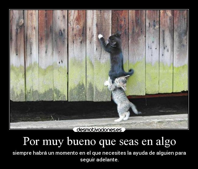 carteles caminar solo ocasiones bueno pero caminar bien acompanado mejor desmotivaciones