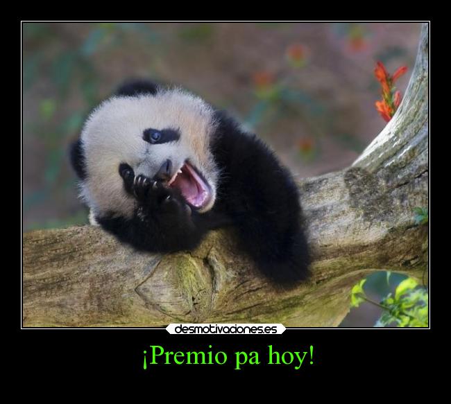 ¡Premio pa hoy! - 