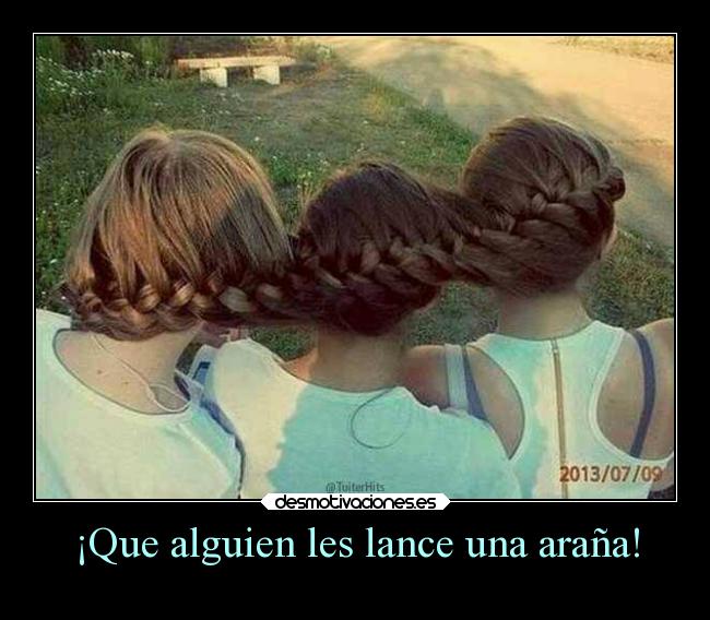 ¡Que alguien les lance una araña! -