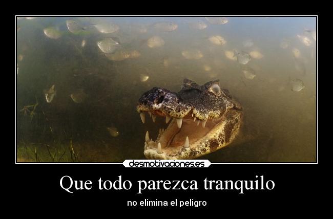 Que todo parezca tranquilo -