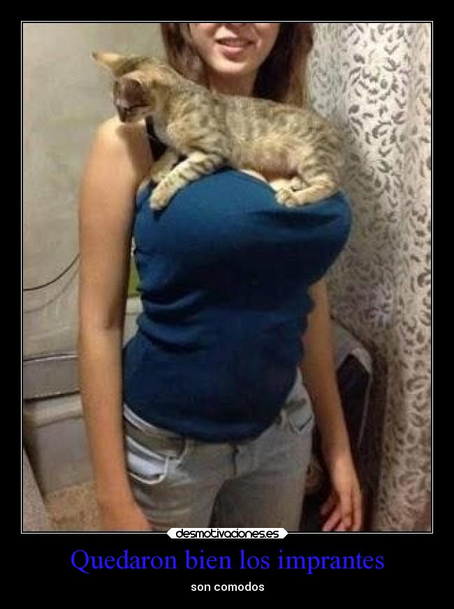 Quedaron bien los imprantes -