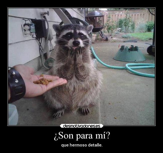 ¿Son para mí? - que hermoso detalle.