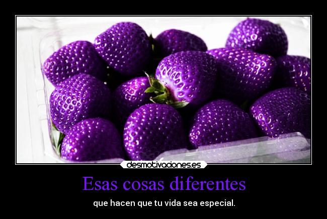 Esas cosas diferentes - que hacen que tu vida sea especial.