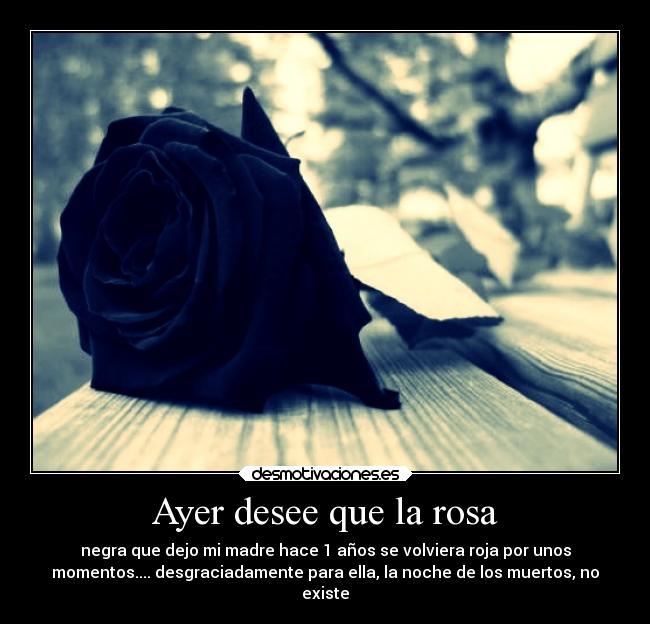 Ayer desee que la rosa -