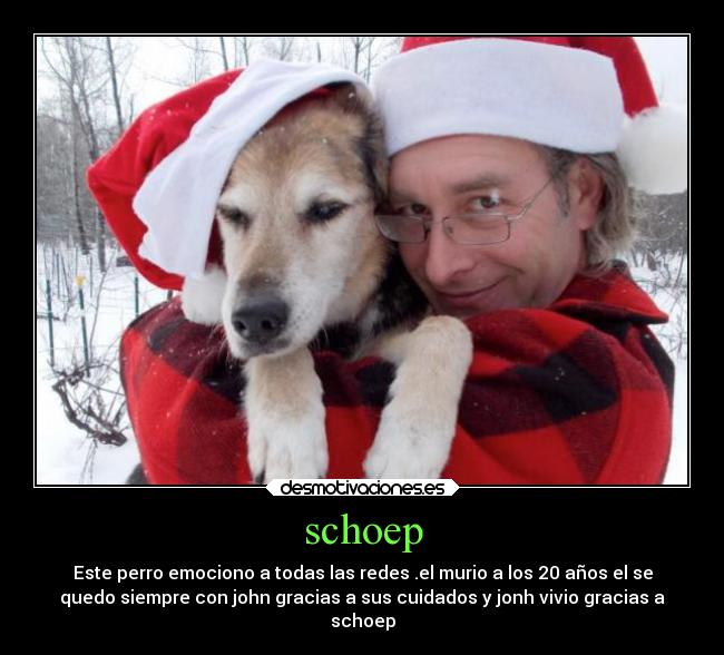 schoep - Este perro emociono a todas las redes .el murio a los 20 años el se
quedo siempre con john gracias a sus cuidados y jonh vivio gracias a
schoep