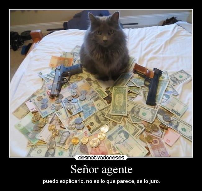 Señor agente - 