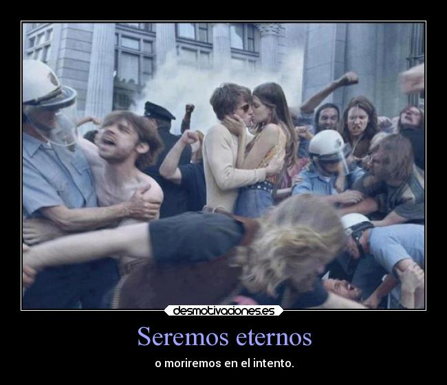 carteles ella queria para siempre para eso solo duraba rato desmotivaciones