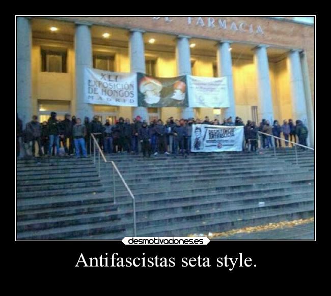 Antifascistas seta style. - 