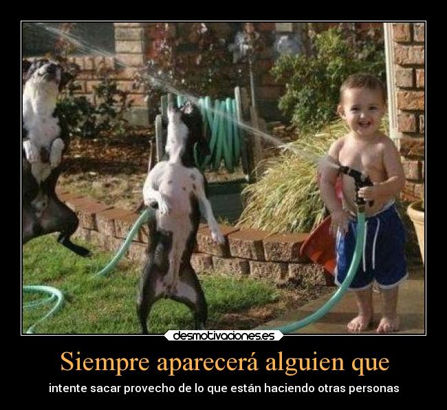 Siempre aparecerá alguien que - 