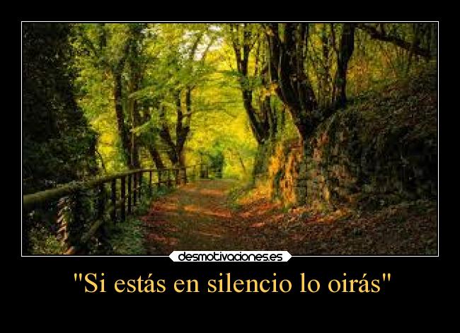 Si estás en silencio lo oirás -