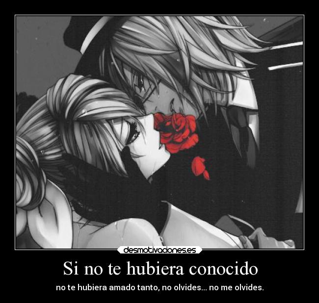 Si no te hubiera conocido - 