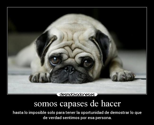 somos capases de hacer - hasta lo imposible solo para tener la oportunidad de demostrar lo que
de verdad sentimos por esa persona.