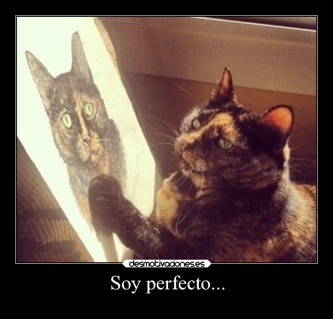 Soy perfecto... - 