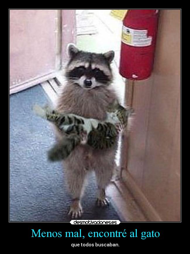 Menos mal, encontré al gato -