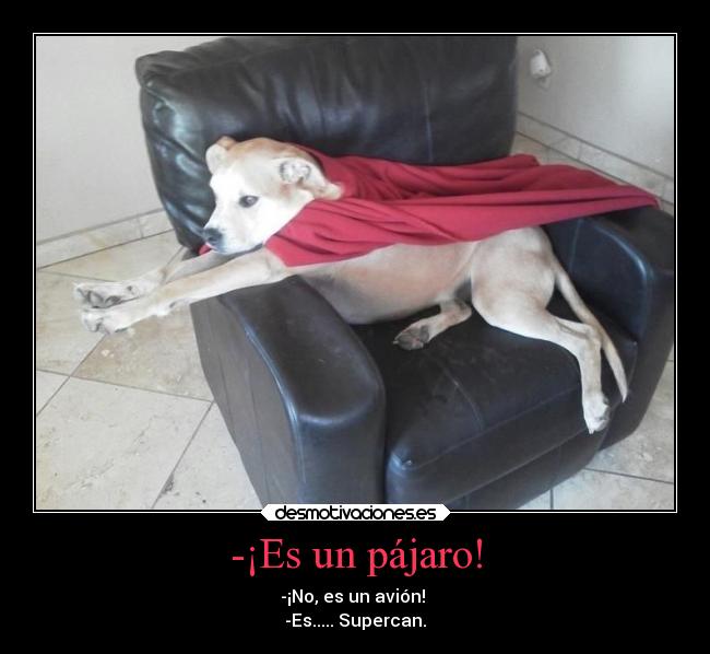 -¡Es un pájaro! - -¡No, es un avión! 
-Es..... Supercan.