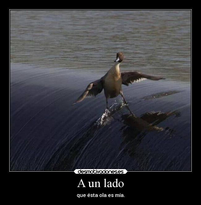 A un lado - que ésta ola es mía.