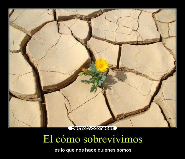 El cómo sobrevivimos - es lo que nos hace quienes somos
