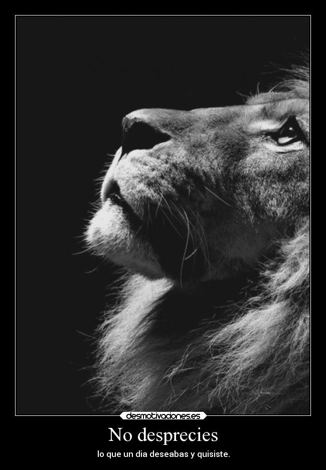 No desprecies - lo que un dia deseabas y quisiste.