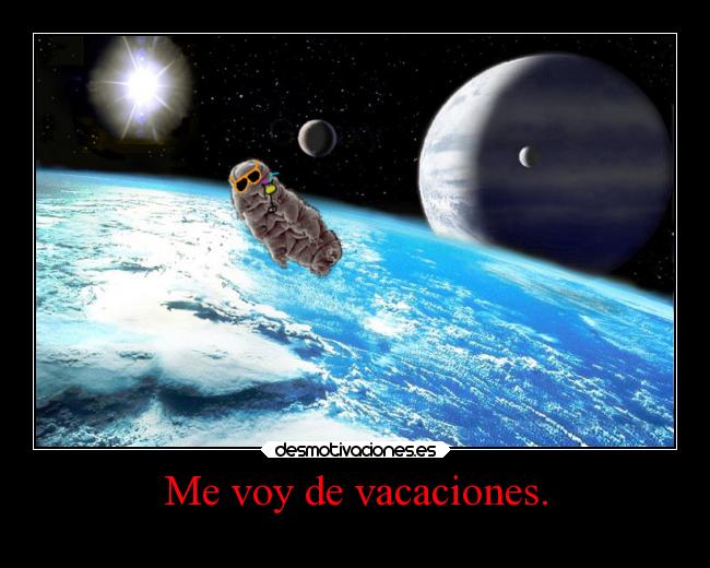Me voy de vacaciones. -