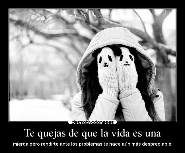 Te quejas de que la vida es una -